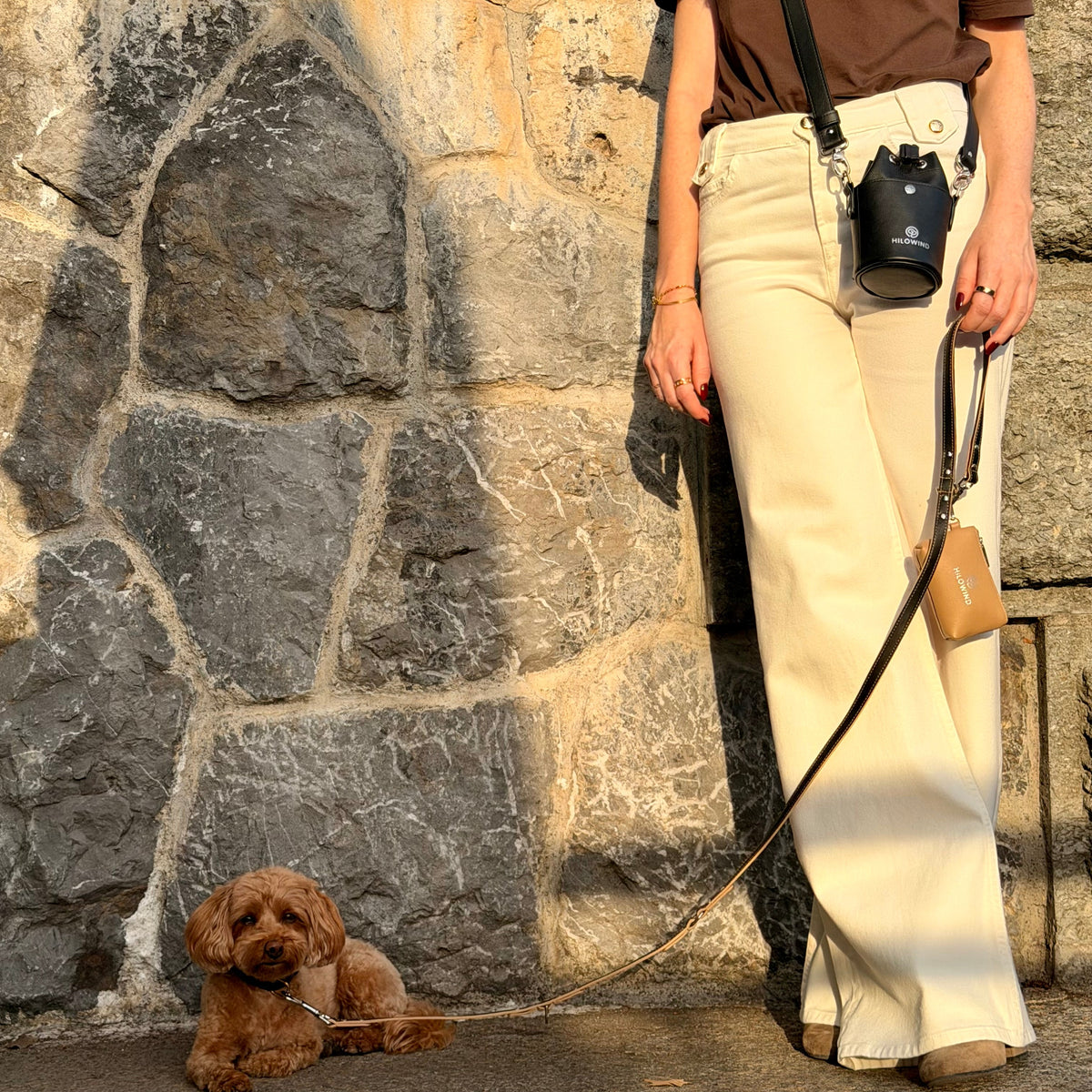 Städtetrips mit Hund: Tipps & Ausstattung