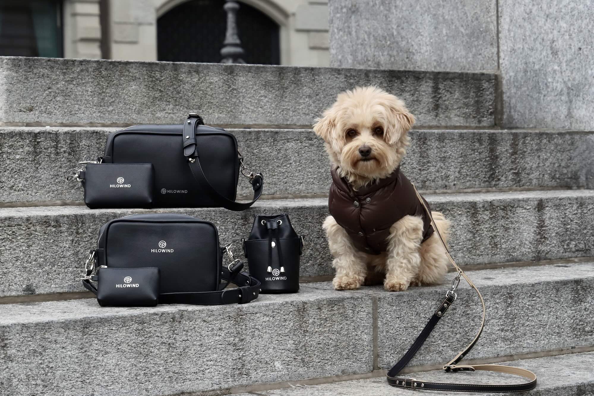 Dog Walking Kollektion mit Gassitaschen, Hundeleine, Leckerlitasche aus veganem Apfelleder mit Hund von HILOWIND.