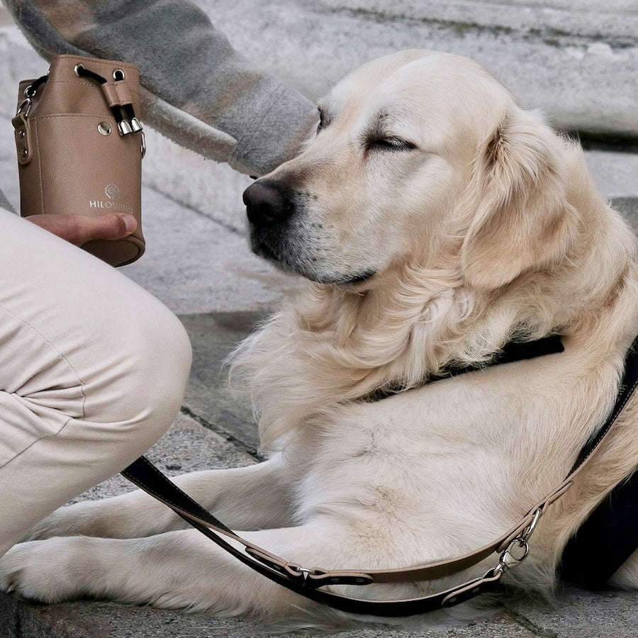 Hochwertiger Leckerlibeutel von HILOWIND aus veganem Apfelleder in beige während Gassirunde mit Hund.