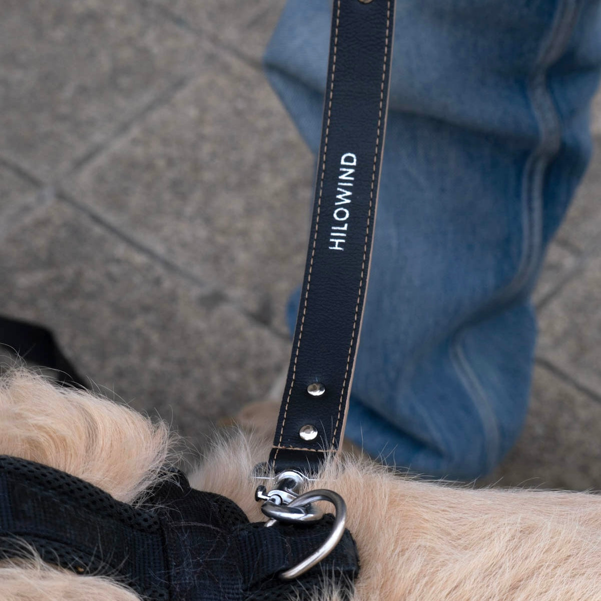 Dog Leash YUNO (available immediately)