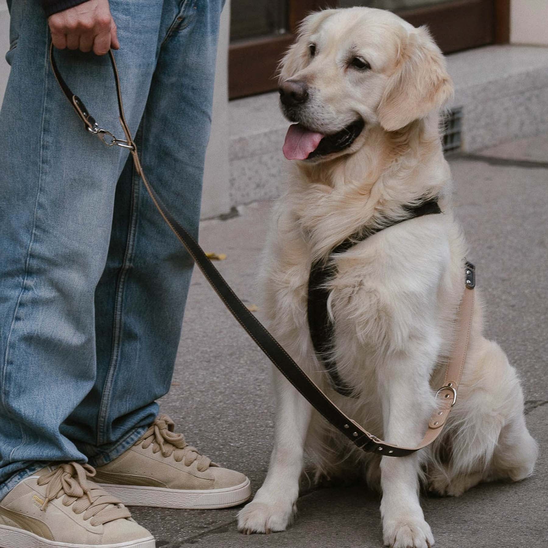 Dog Leash YUNO (available immediately)