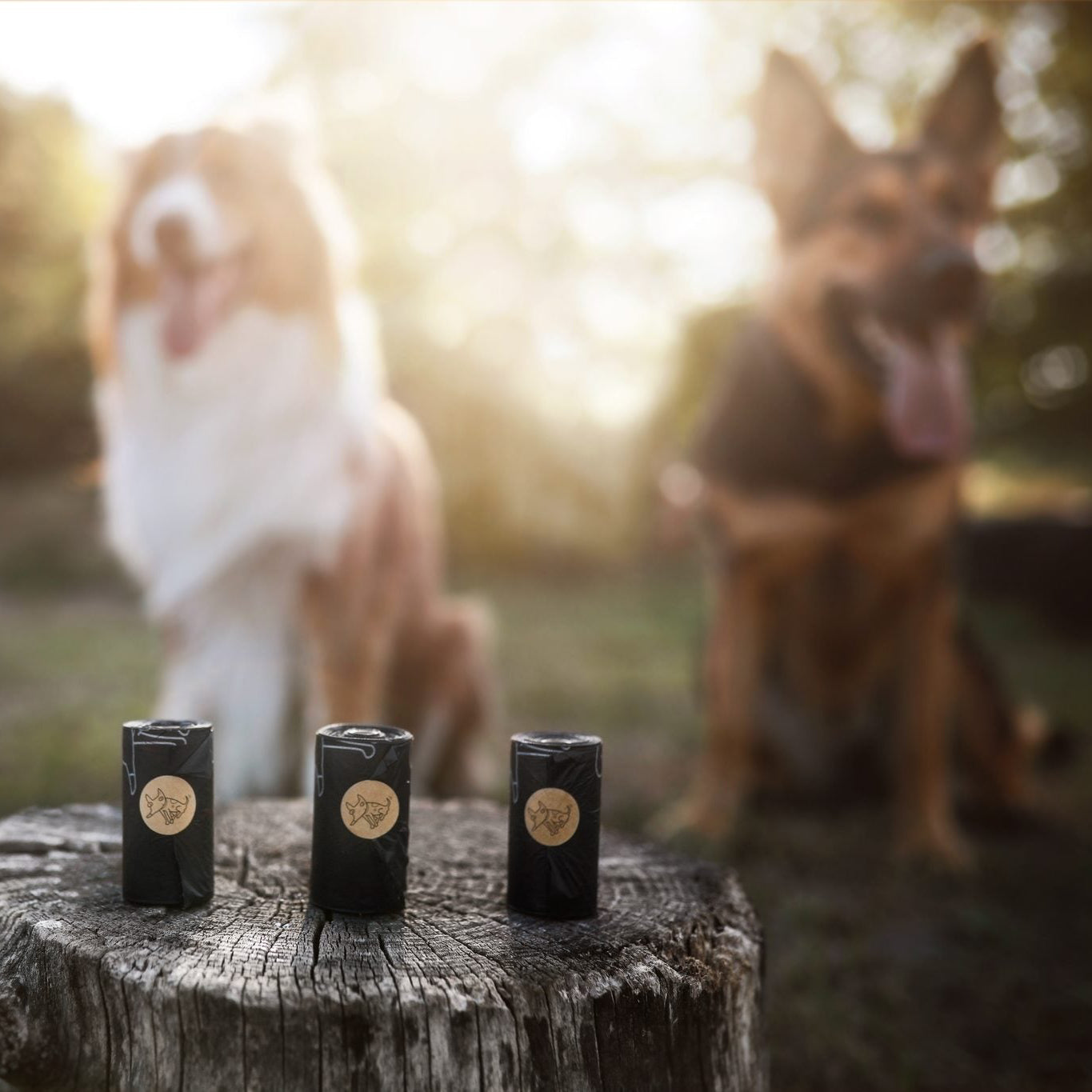 Hundekotbeutel biologisch abbaubar